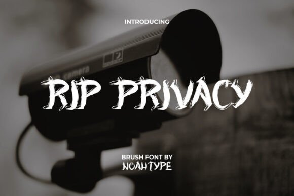 Rip Privacy: Mastering the Mysterious Grunge Aesthetic